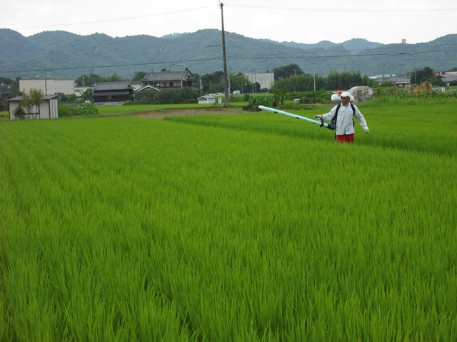 http://miyake-rakunoen.com/blogs/blog_photo/20100810.jpg
